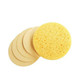 Prosana Round Compressed Sponges Prosana Round Compressed Sponges